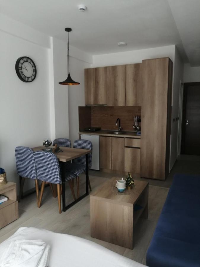 Apartman Adelfes P16, Milmari Resort Копаоник Экстерьер фото